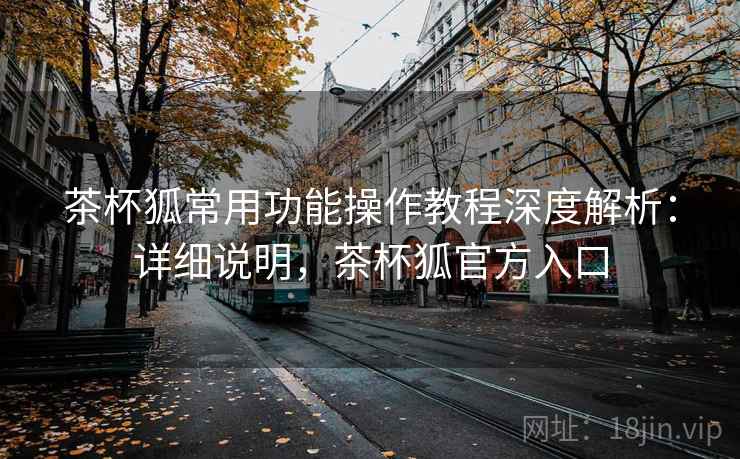 茶杯狐常用功能操作教程深度解析：详细说明，茶杯狐官方入口