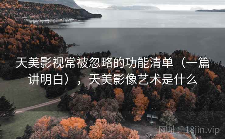 天美影视常被忽略的功能清单（一篇讲明白），天美影像艺术是什么